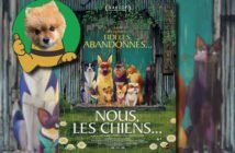 Marcel, le chien mascotte du film Nous Les Chiens Marcel, le chien mascotte du film Nous Les Chiens