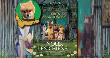 Marcel, le chien mascotte du film Nous Les Chiens